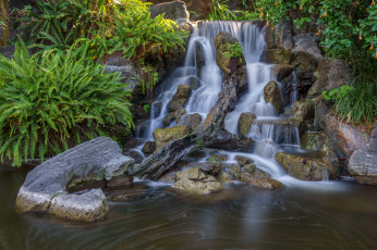 Картинка природа водопады водопад река лес