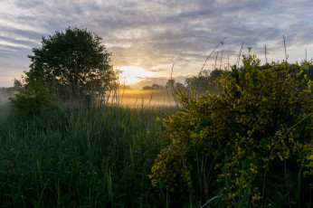 Картинка природа восходы закаты рассвет