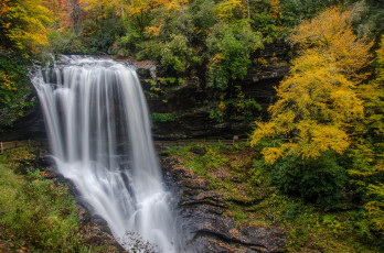 Картинка природа водопады водопад река лес