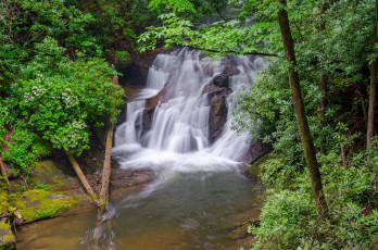 Картинка природа водопады водопад река лес