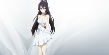 Картинка аниме infinite+stratos девушка взгляд фон