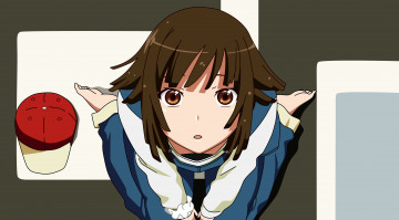 Картинка аниме bakemonogatari фон взгляд девушка