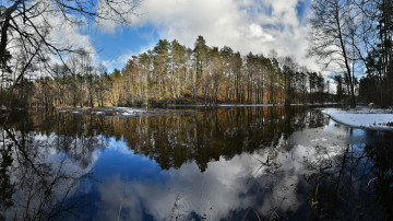 Картинка природа реки озера река лес