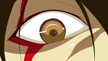 Картинка аниме bakemonogatari глаз