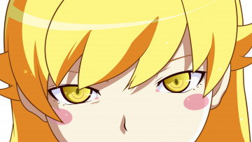 Картинка аниме bakemonogatari взгляд фон девушка