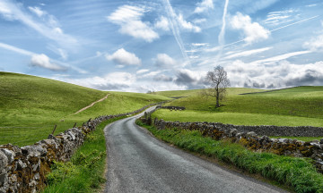 Картинка природа дороги тракт