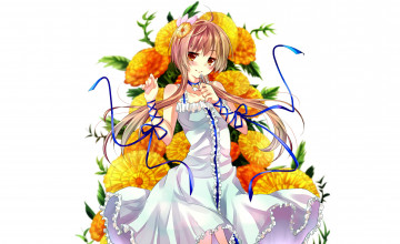 Картинка аниме nisekoi девушка