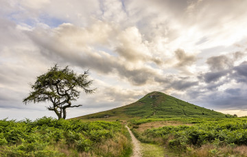 Картинка природа дороги тракт