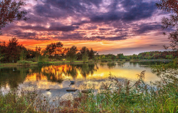 Картинка природа реки озера река лес