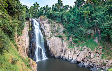 Картинка природа водопады водопад река лес