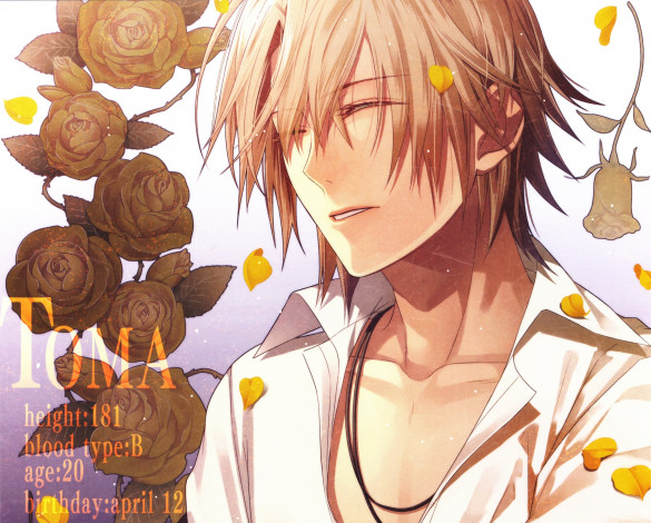 Обои картинки фото аниме, amnesia, парень