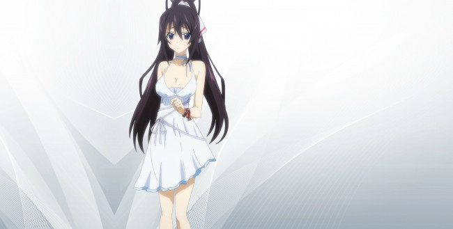 Обои картинки фото аниме, infinite stratos, девушка, взгляд, фон