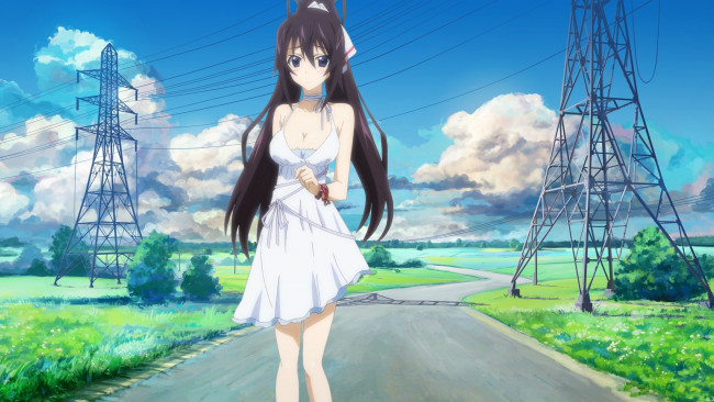 Обои картинки фото аниме, infinite stratos, девушка, взгляд, фон