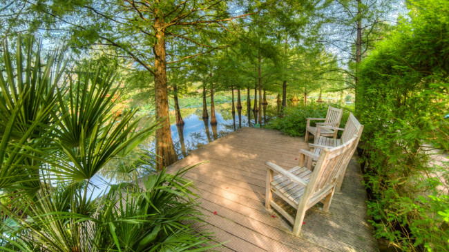 Обои картинки фото природа, парк, лес, река