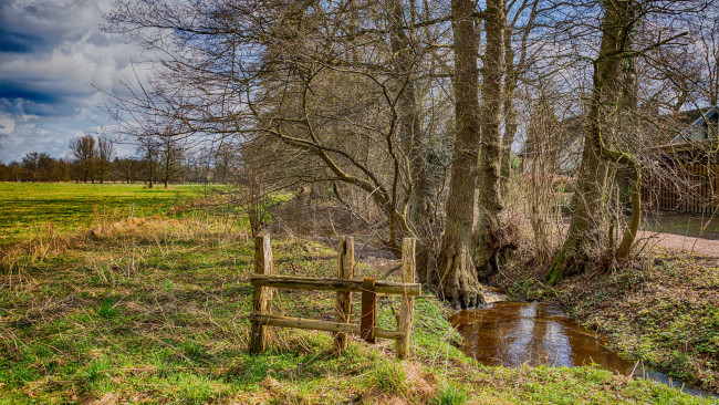 Обои картинки фото природа, пейзажи, река, лес