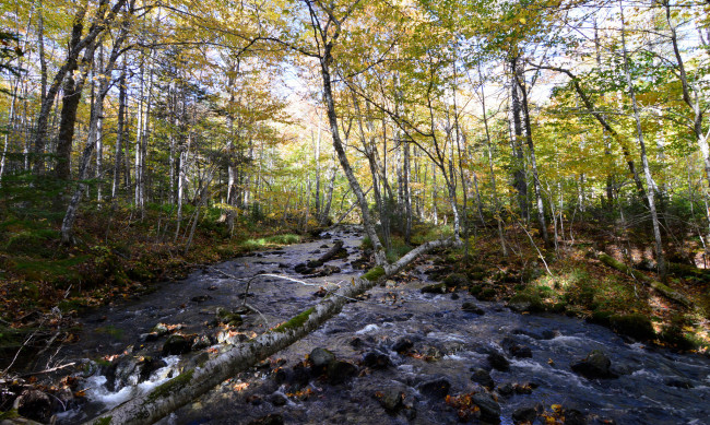 Обои картинки фото природа, реки, озера, тракт