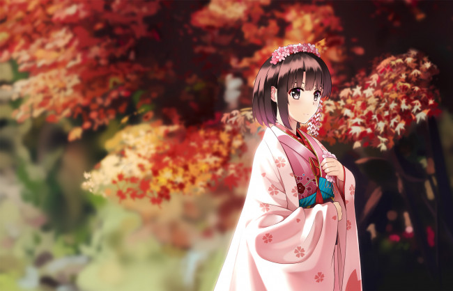 Обои картинки фото аниме, saenai heroine no sodatekata, saenai, heroine, no, sodatekata