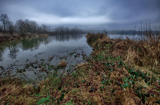 Обои картинки фото природа, реки, озера, река, лес