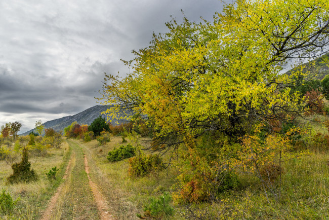 Обои картинки фото природа, дороги, тракт