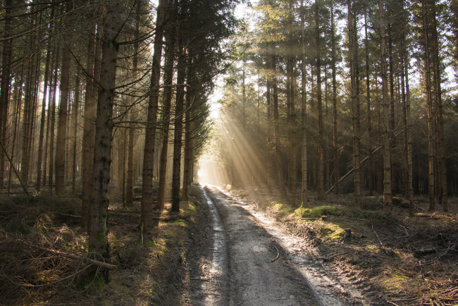 Обои картинки фото природа, дороги, тракт