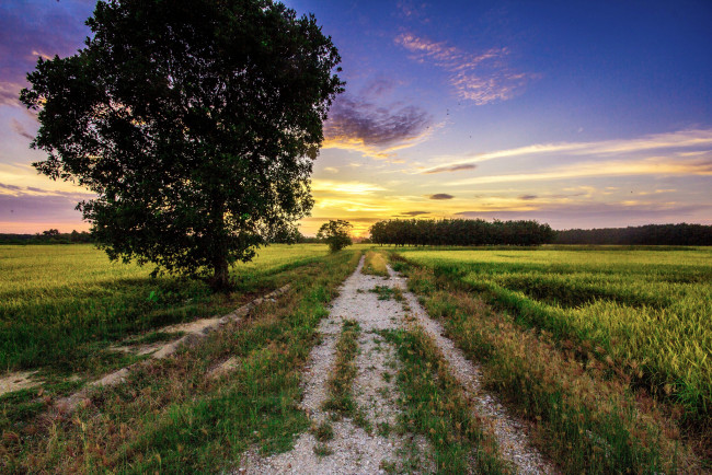 Обои картинки фото природа, дороги, тракт