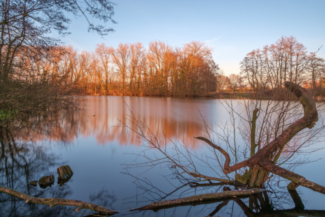 Обои картинки фото природа, реки, озера, лес, река