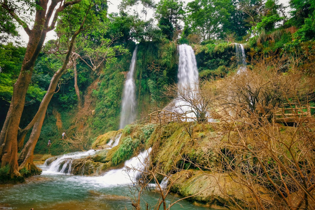 Обои картинки фото природа, водопады, лес, река, водопад