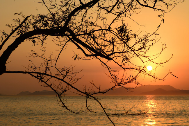 Обои картинки фото природа, восходы, закаты, рассвет