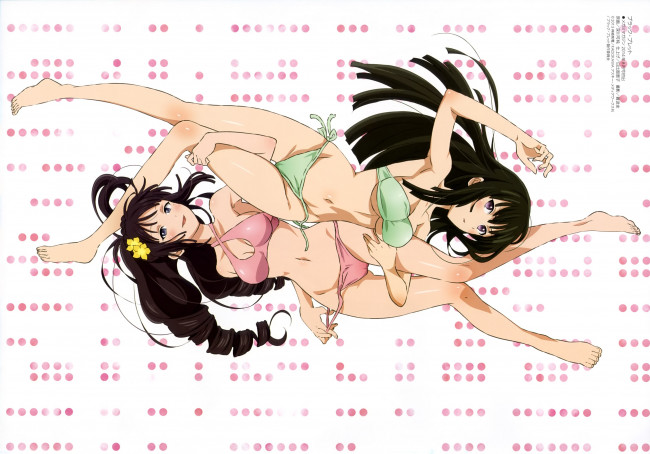 Обои картинки фото аниме, black bullet, девушки