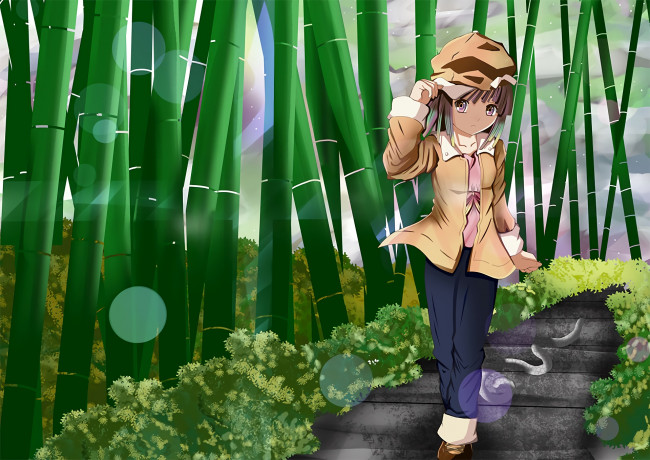 Обои картинки фото аниме, bakemonogatari, фон, взгляд, девушка