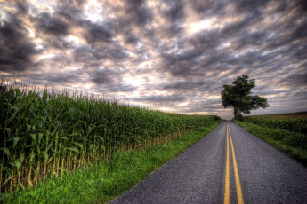 Картинка природа дороги шоссе