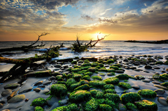 Картинка природа восходы закаты простор