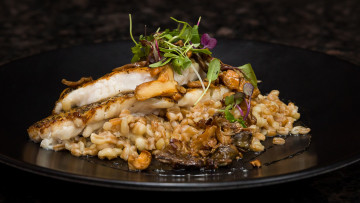 Картинка еда рыбные+блюда +с+морепродуктами снедь