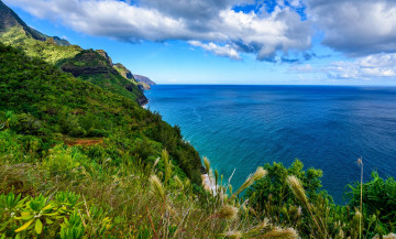 Картинка природа побережье простор