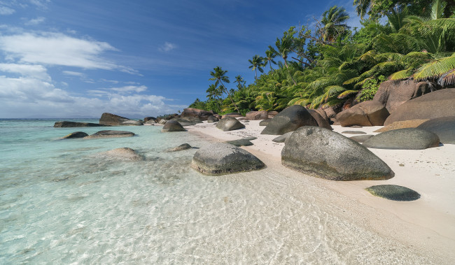 Обои картинки фото природа, тропики, простор