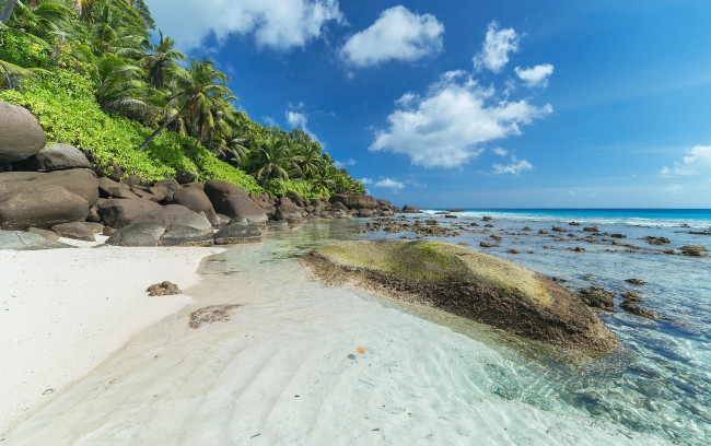 Обои картинки фото природа, тропики, простор