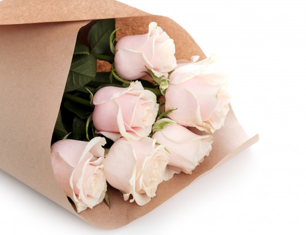 Обои картинки фото цветы, розы, бутоны, букет