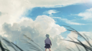 Картинка аниме hunter+x+hunter охотник х