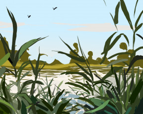 Картинка рисованное природа камыши река