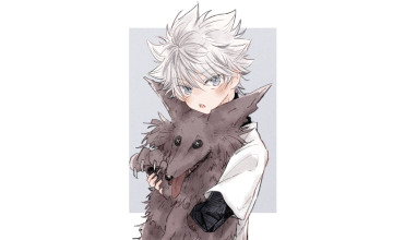 Картинка аниме hunter+x+hunter киллуа