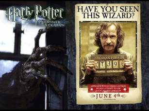 Картинка кино фильмы harry potter and the prisoner of azkaban
