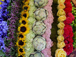 Картинка цветы разные вместе