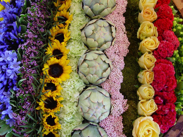 Обои картинки фото цветы, разные, вместе