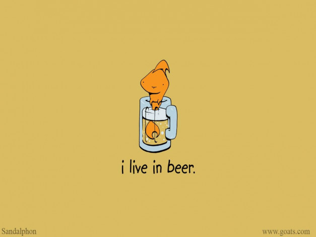 Обои картинки фото юмор, приколы