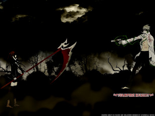 Картинка аниме vampire knight