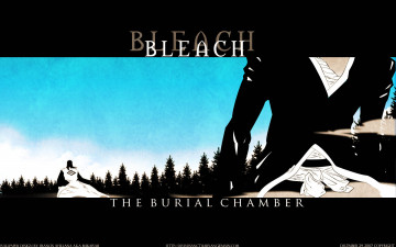 Картинка аниме bleach