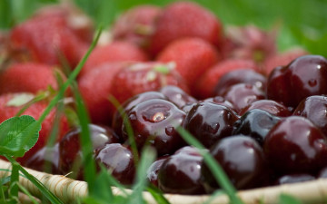 Картинка еда