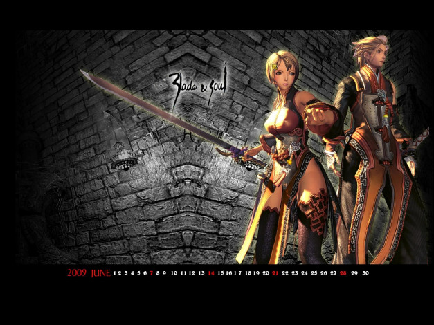 Обои картинки фото видео, игры, blade, and, soul