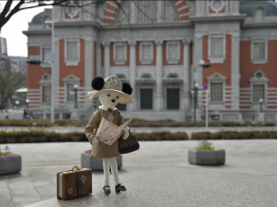 Картинка разное игрушки