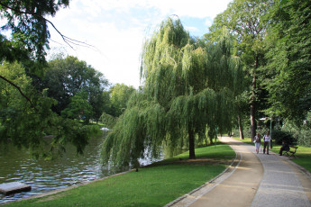 Картинка природа парк